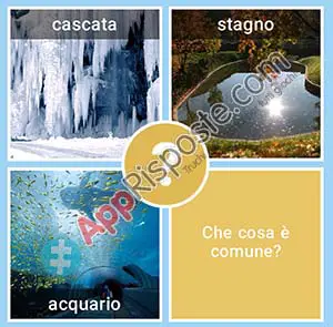 ACQUA