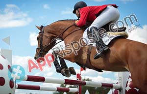 CAVALLO FANTINO SELLA STAFFA OSTACOLO FERRO DI CAVALLO CASCO DA EQUITAZIONE BANDIERA